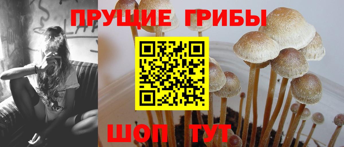 Галлюциногенные грибы GOLDEN TEACHER Советский
